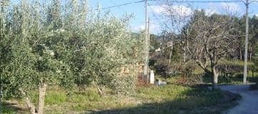Land in Ontinyent for sale Building Photo- Image 1 of 5