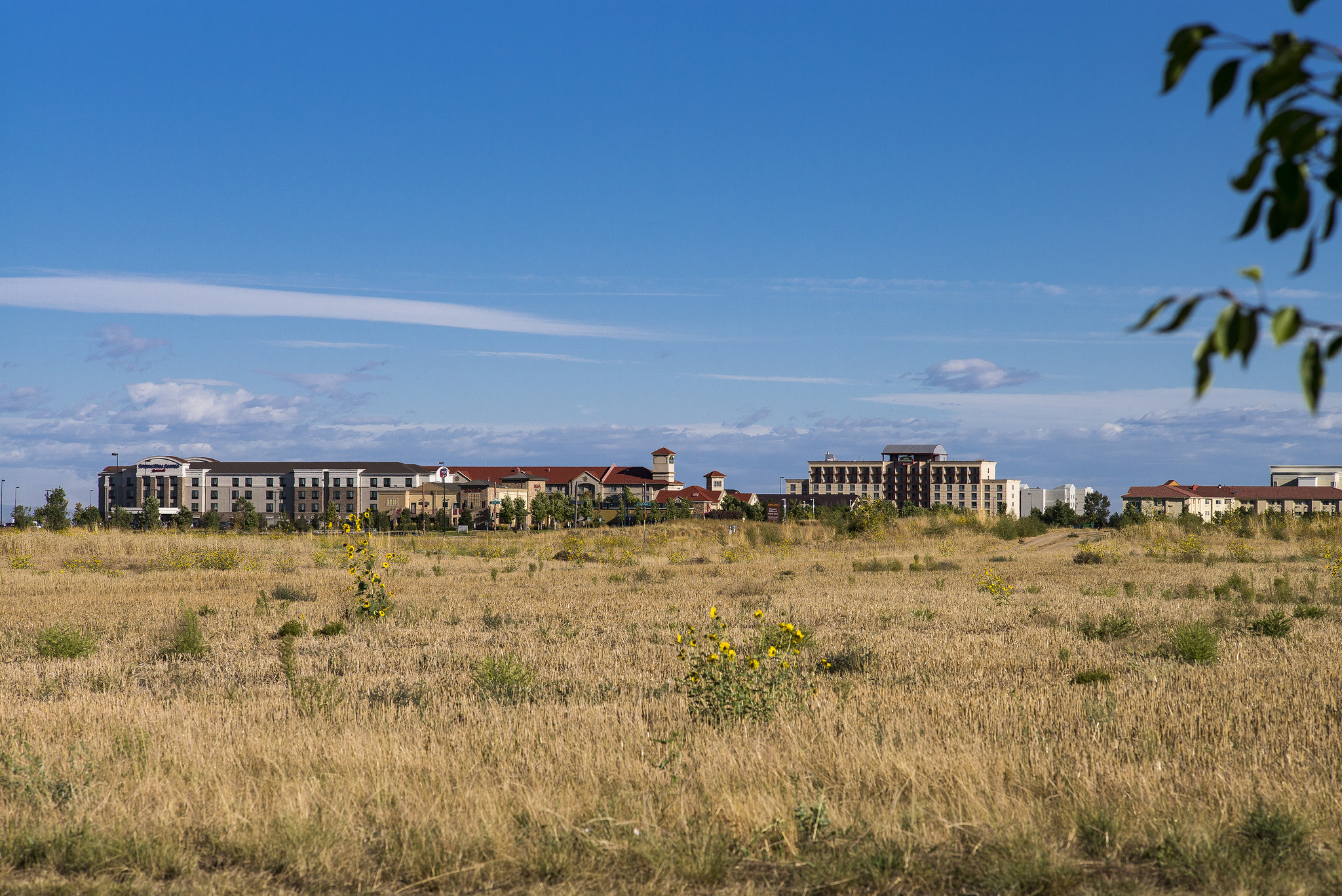 66th St, Denver, CO for sale Primary Photo- Image 1 of 2