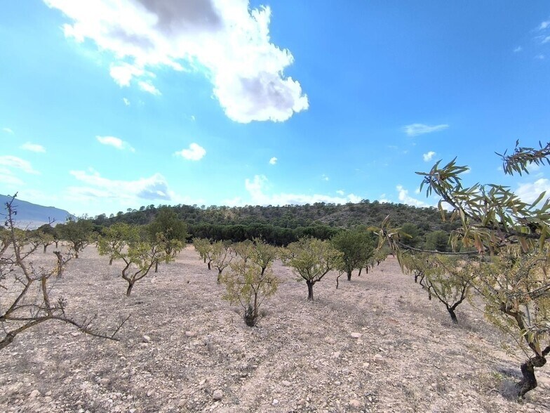 Land in Yecla for sale - Building Photo - Image 1 of 9
