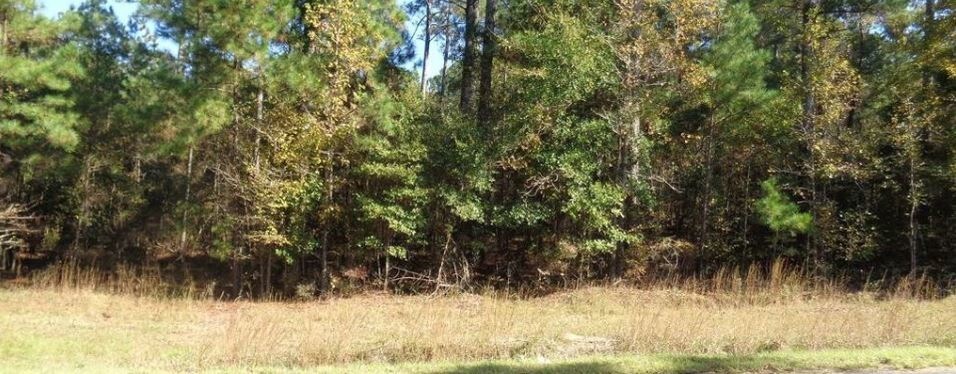 8300 Fortson Road Fortson, Columbus, GA for sale Other- Image 1 of 1