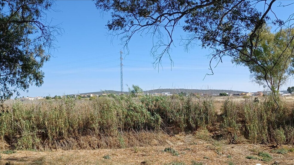 Land in Burguillos for sale - Building Photo - Image 3 of 10