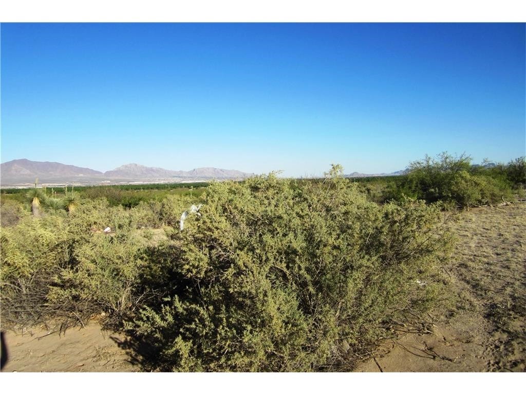 1929 Alvarez Rd, Anthony, NM for sale Primary Photo- Image 1 of 1