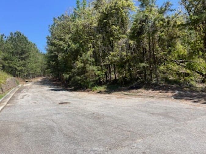 4107 Danforth SW Rd, Atlanta, GA for sale - Other - Image 3 of 5