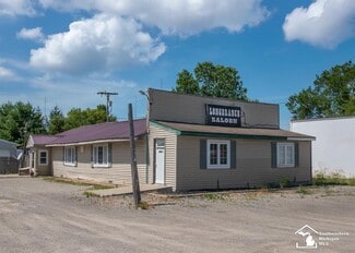More details for 10221 Telegraph Rd, Carleton, MI - Retail for Sale