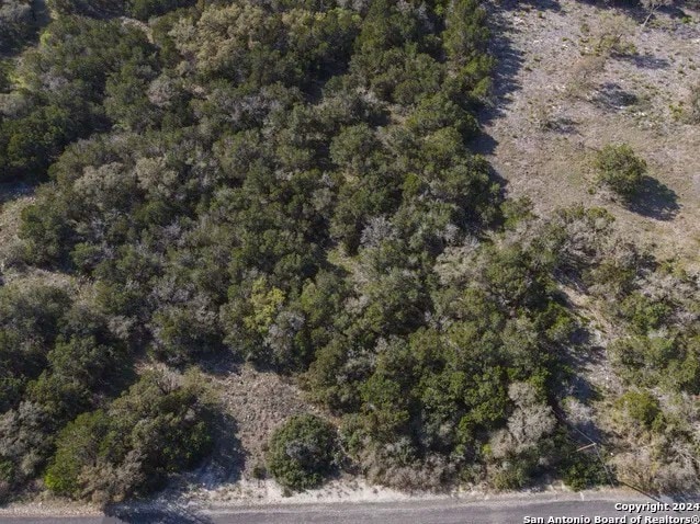 82 County Road 273, Mico, TX for sale Aerial- Image 1 of 10