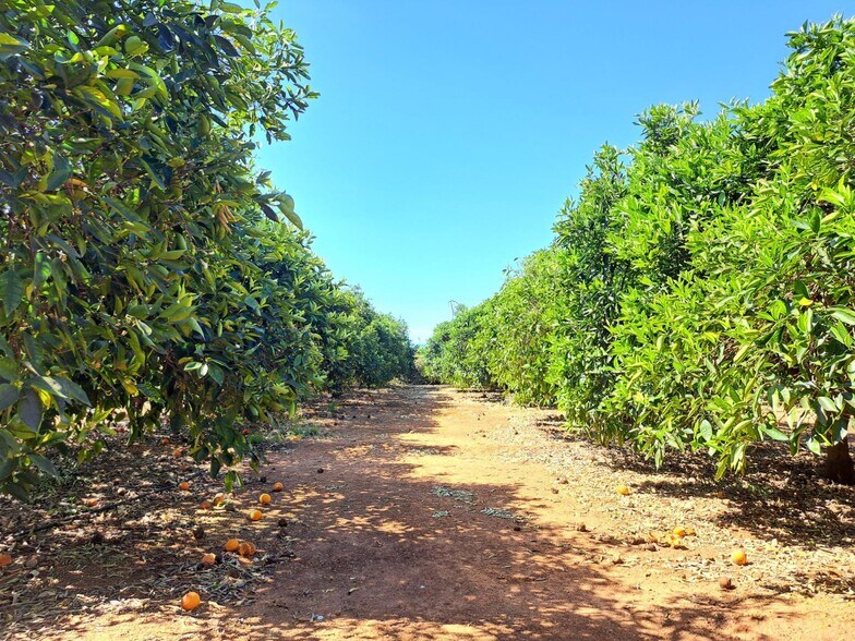 Land in Carcaixent for sale - Building Photo - Image 2 of 5