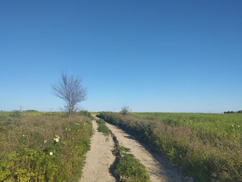 Land in Almonte for sale - Building Photo - Image 3 of 13