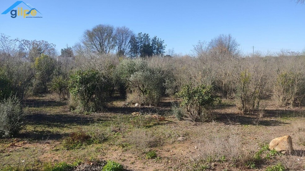 Land in Alcalá de Guadaíra, Sevilla for sale - Building Photo - Image 2 of 11