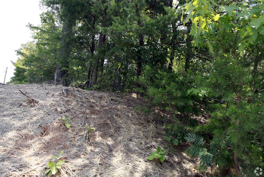 Mine Rd & Greenspring Dr, Stafford, VA for lease - Building Photo - Image 2 of 3