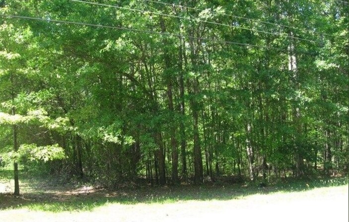 Jug Rd, Monroe, GA for sale Building Photo- Image 1 of 1