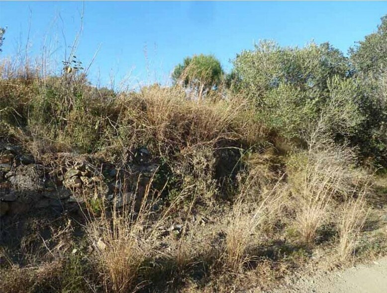 Land in Almoster, Tarragona for sale - Building Photo - Image 1 of 3