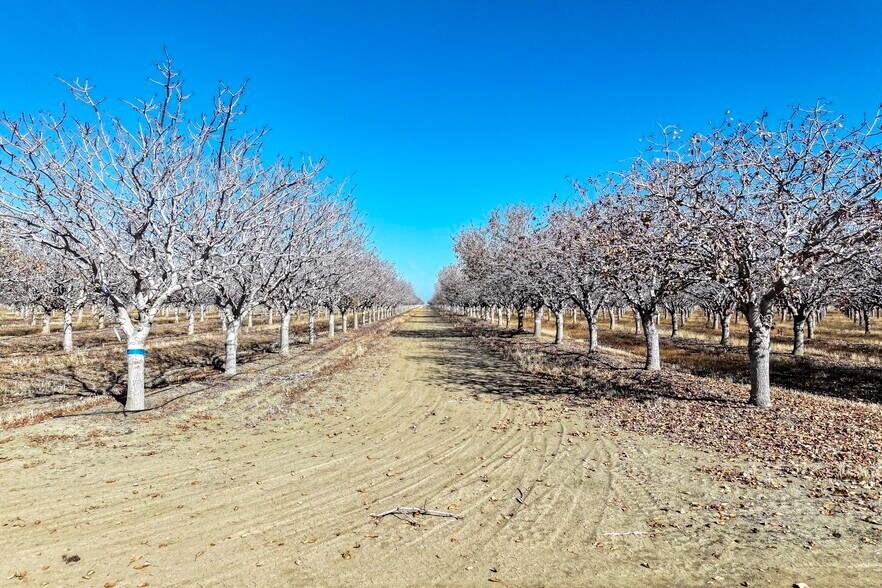 33571 Adams ave, Mendota, CA for sale - Building Photo - Image 2 of 12