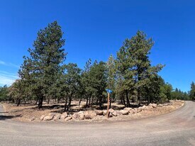 407 Blue Spruce, Goldendale, WA 98620 - Land