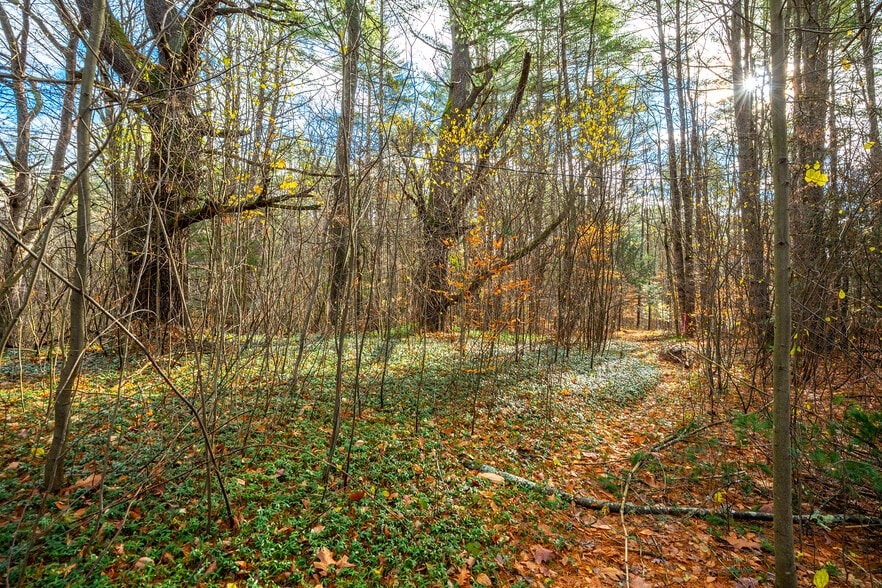 40 E Putney Brook Rd, Putney, VT for sale - Interior Photo - Image 3 of 31