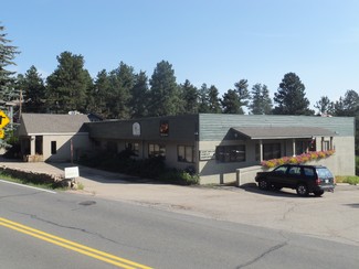 More details for 28577 Buffalo Park Rd, Evergreen, CO - Office for Lease