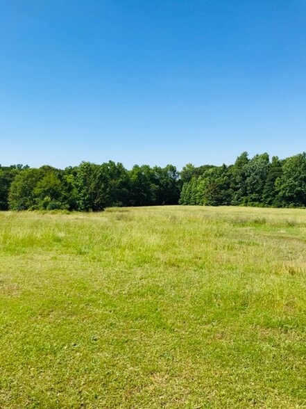 4612 Highway 101, Woodruff, SC for sale - Other - Image 1 of 3