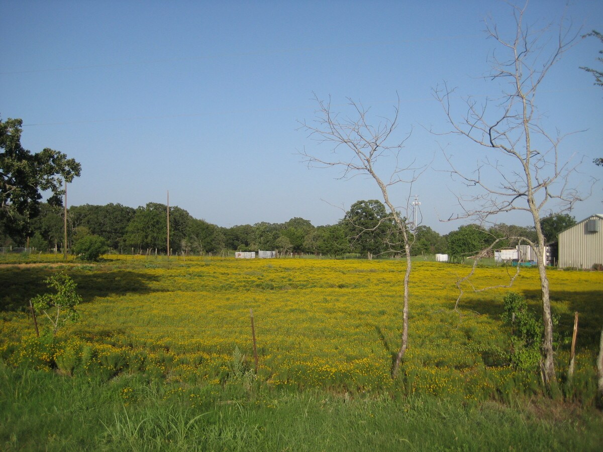 View Photo