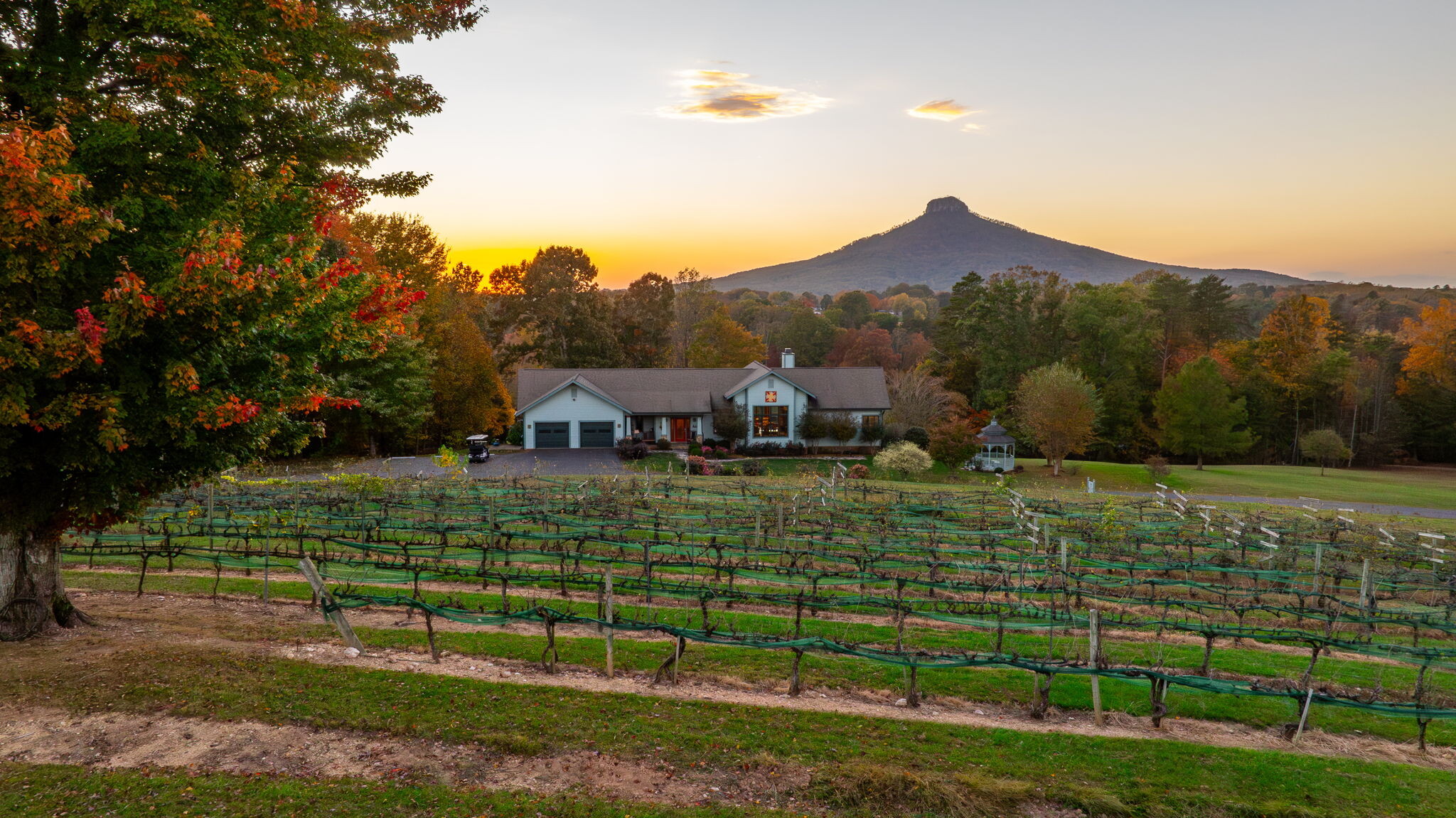 1162 Bradley Rd, Pinnacle, NC for sale Primary Photo- Image 1 of 23