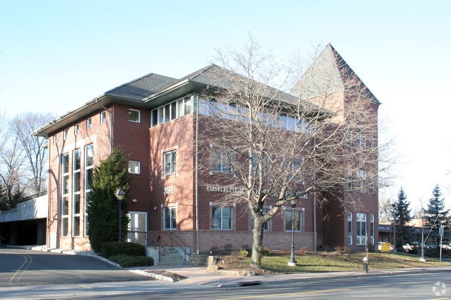 391 Springfield Ave, Berkeley Heights, NJ for sale - Primary Photo - Image 1 of 1