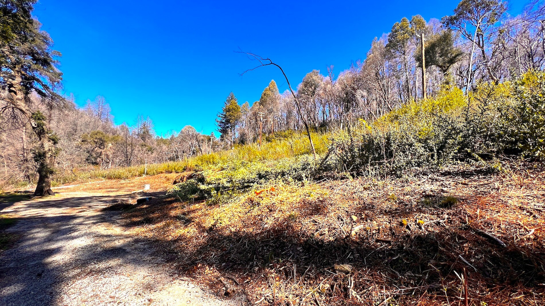 11035 Empire Grade, Bonny Doon, CA 95060 Land for Sale