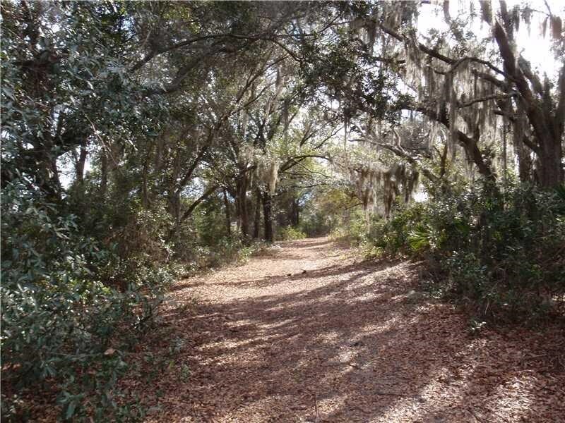 Marsh View Ct & Arrowtree Blvd, Clermont, FL 34711