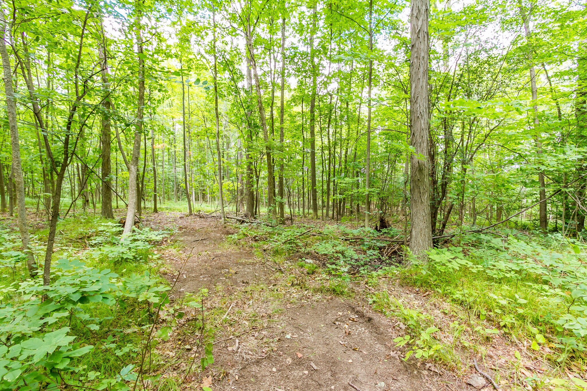 3270 County Road 28, Watkins Glen, NY 14891