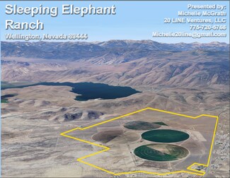 More details for 0 US Highway 208, Wellington, NV - Land for Sale