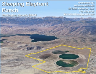 More details for 0 US Highway 208, Wellington, NV - Land for Sale