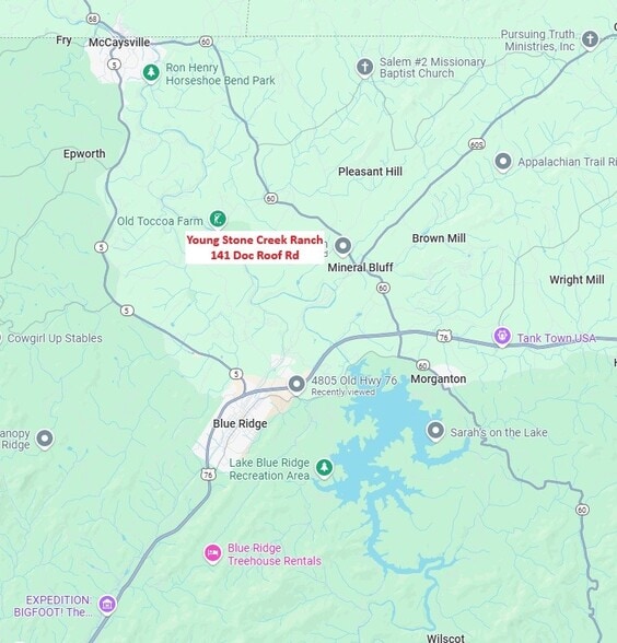 141 Doc Roof Rd, Mineral Bluff, GA for sale - Building Photo - Image 3 of 12