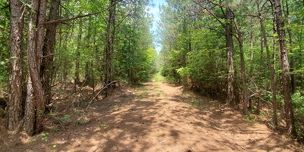 View Photo