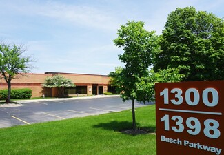 More details for 1300-1398 Busch Pky, Buffalo Grove, IL - Flex, Industrial for Lease