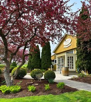 SHELDRAKE POINT WINERY - Vineyard