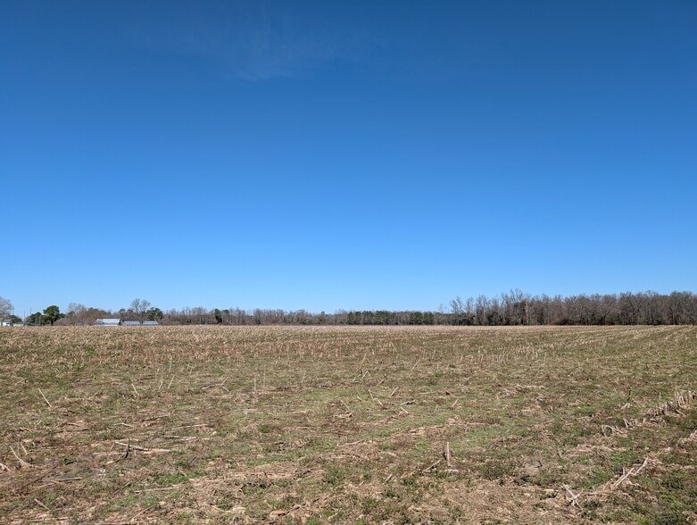 000 Cedar Fork Road, Beulaville, NC for sale - Building Photo - Image 3 of 6