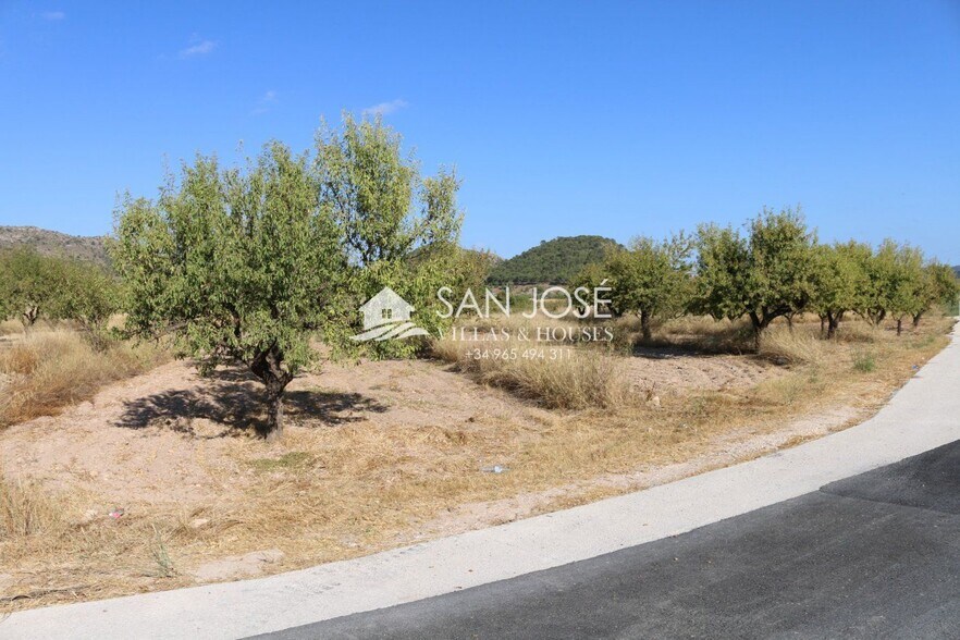 Land in MONÒVER for sale - Building Photo - Image 3 of 14