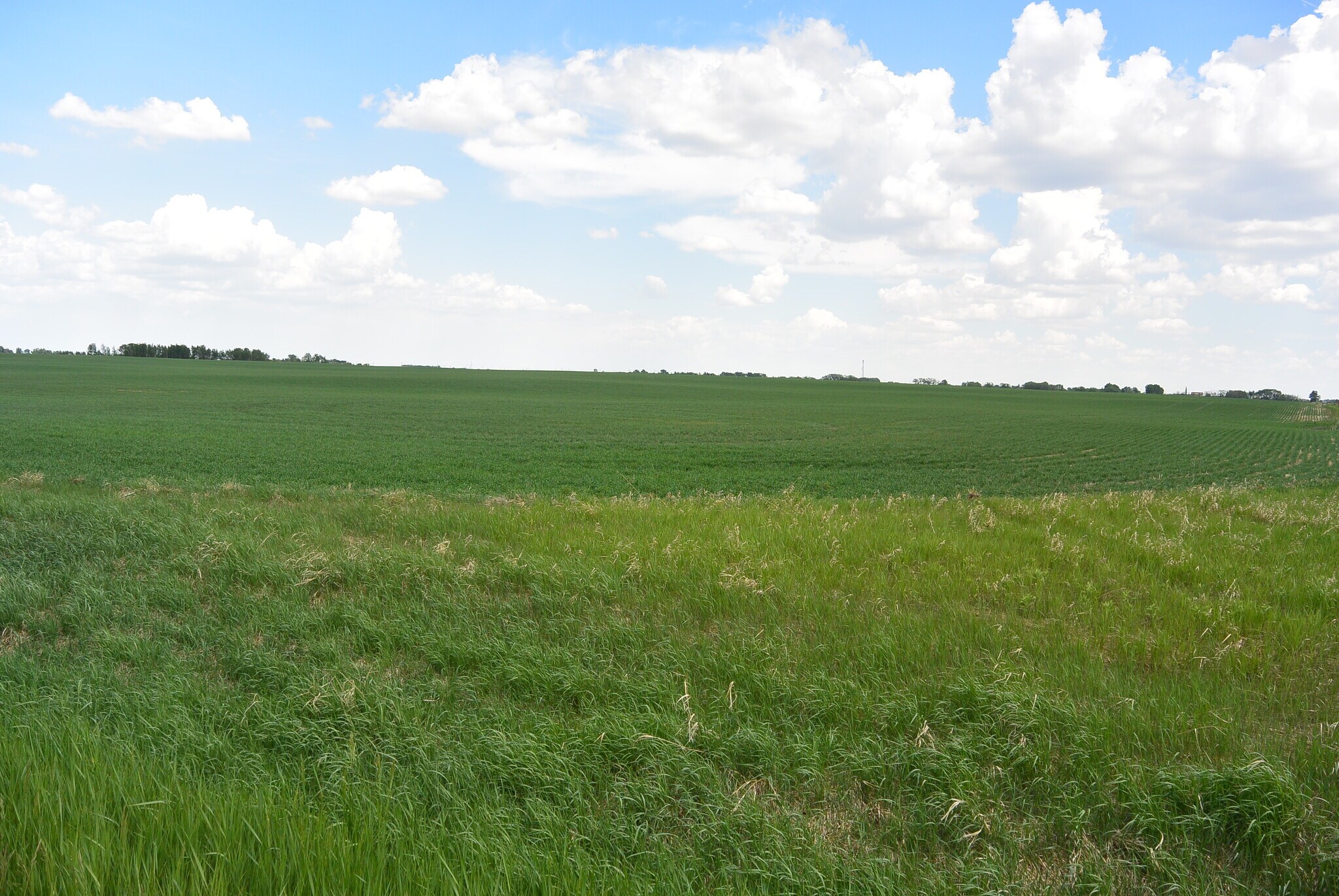 566 Range Road 283 Hwy, Carseland, AB