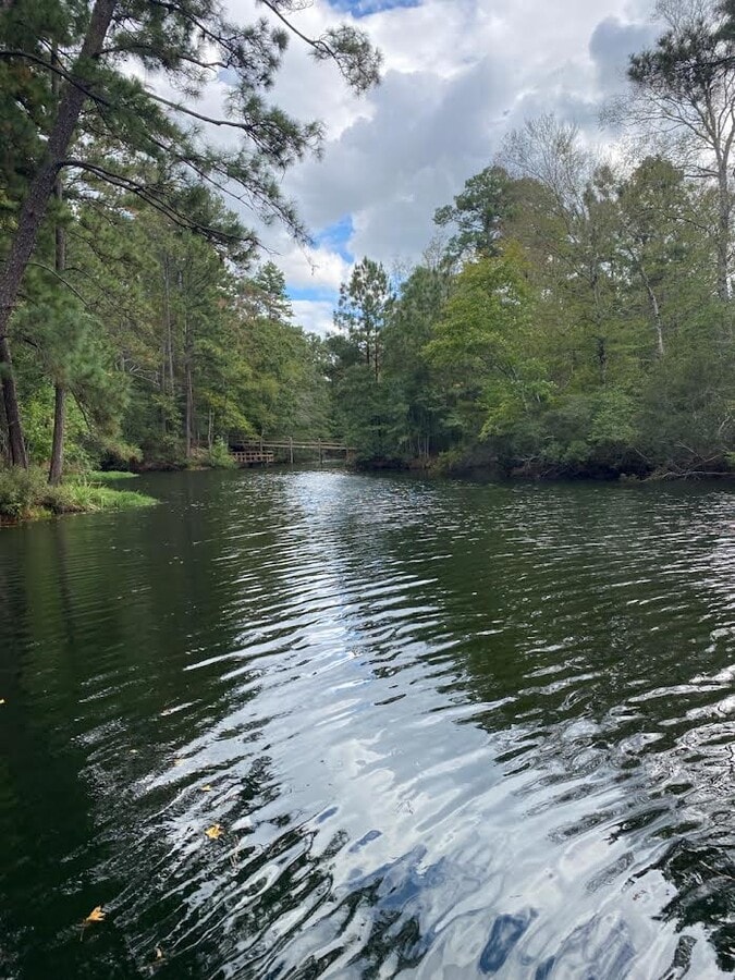 248 WOODSY Holw, Goodrich, TX 77335 Woodsy Hollow Resort and RV Park