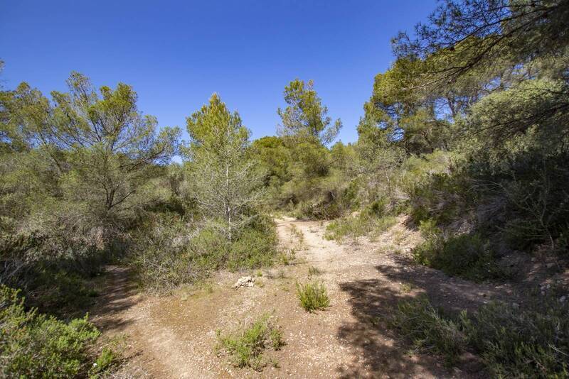 Son, 3, Es Castell, Islas Baleares for sale - Building Photo - Image 2 of 11