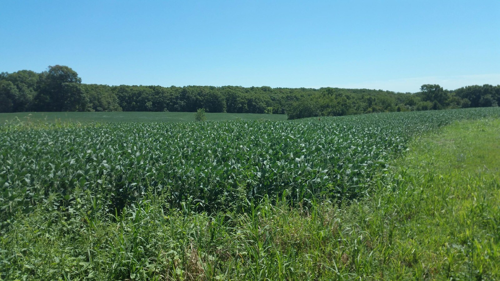 Quarry Rd, Troy, MO 63379