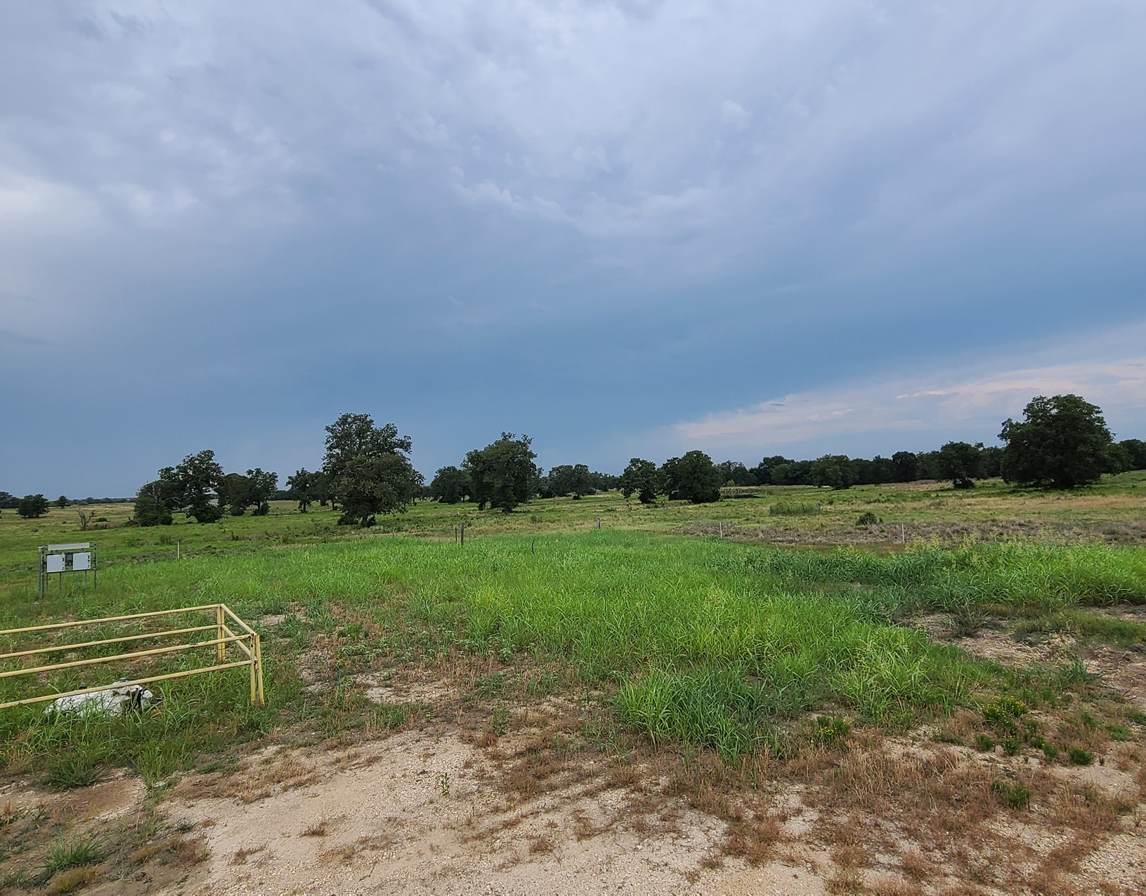 9999 Industrial Park, Giddings, TX 78942 Land for Sale