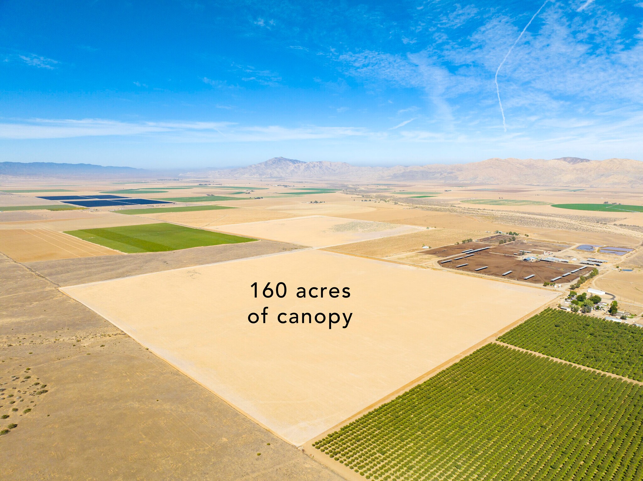 1051 Foothill Rd, Maricopa, CA for sale Primary Photo- Image 1 of 1