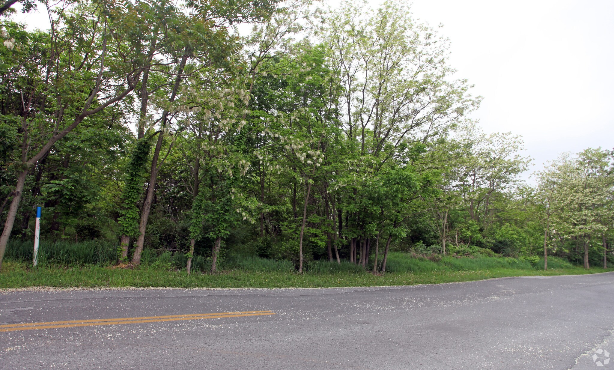 McMillan Ct, Martinsburg, WV for sale Primary Photo- Image 1 of 1