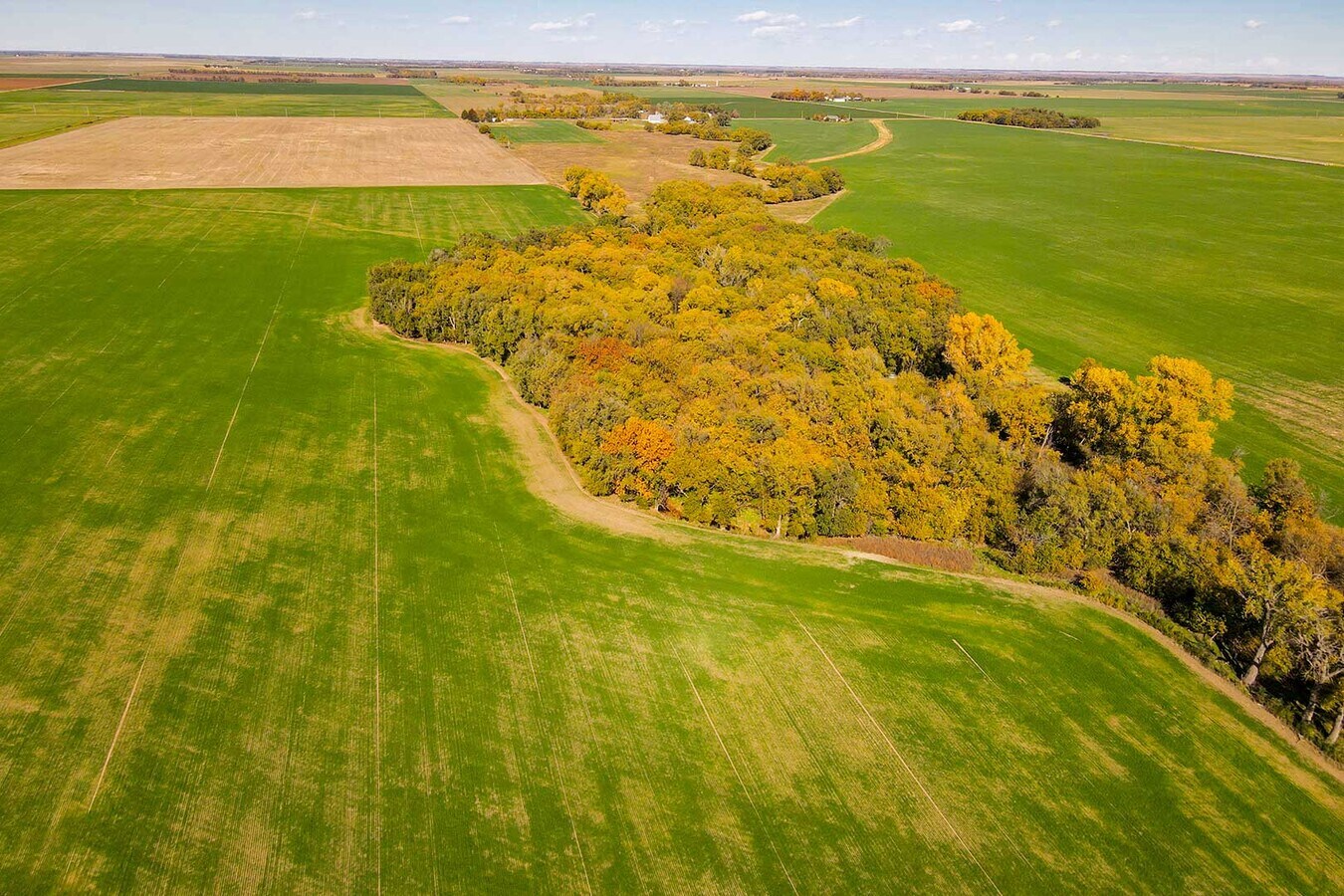 NE 80th Ave, Pretty Prairie, KS 67570