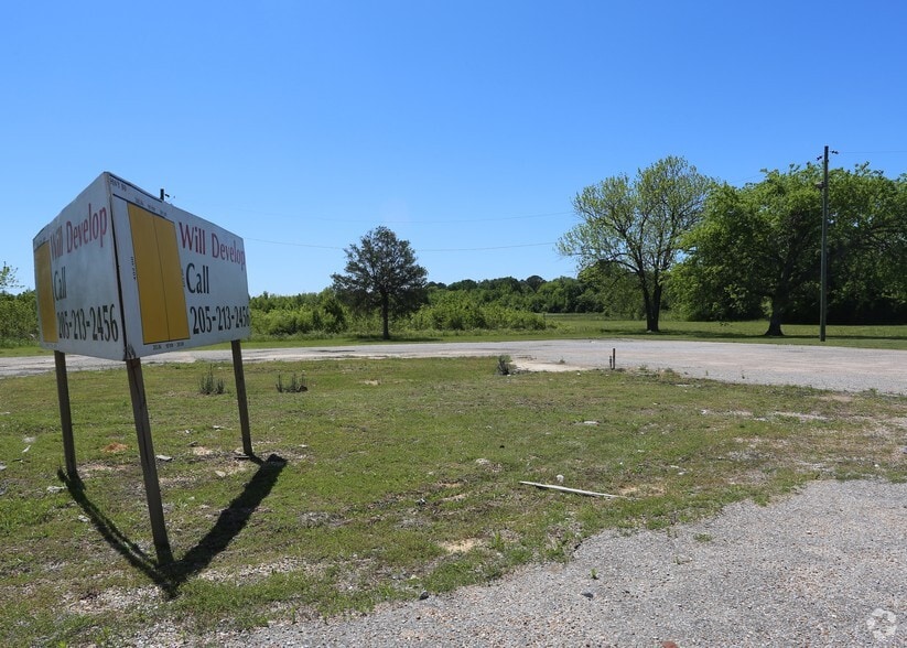 880 US Hwy 80, Demopolis, AL for sale - Building Photo - Image 3 of 5
