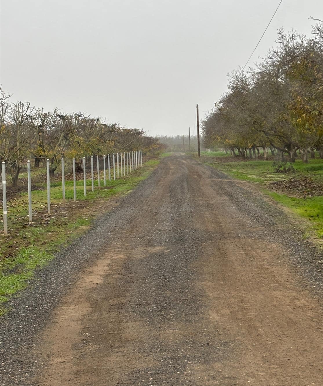 14860 E Baker Rd, Linden, CA for sale Primary Photo- Image 1 of 3