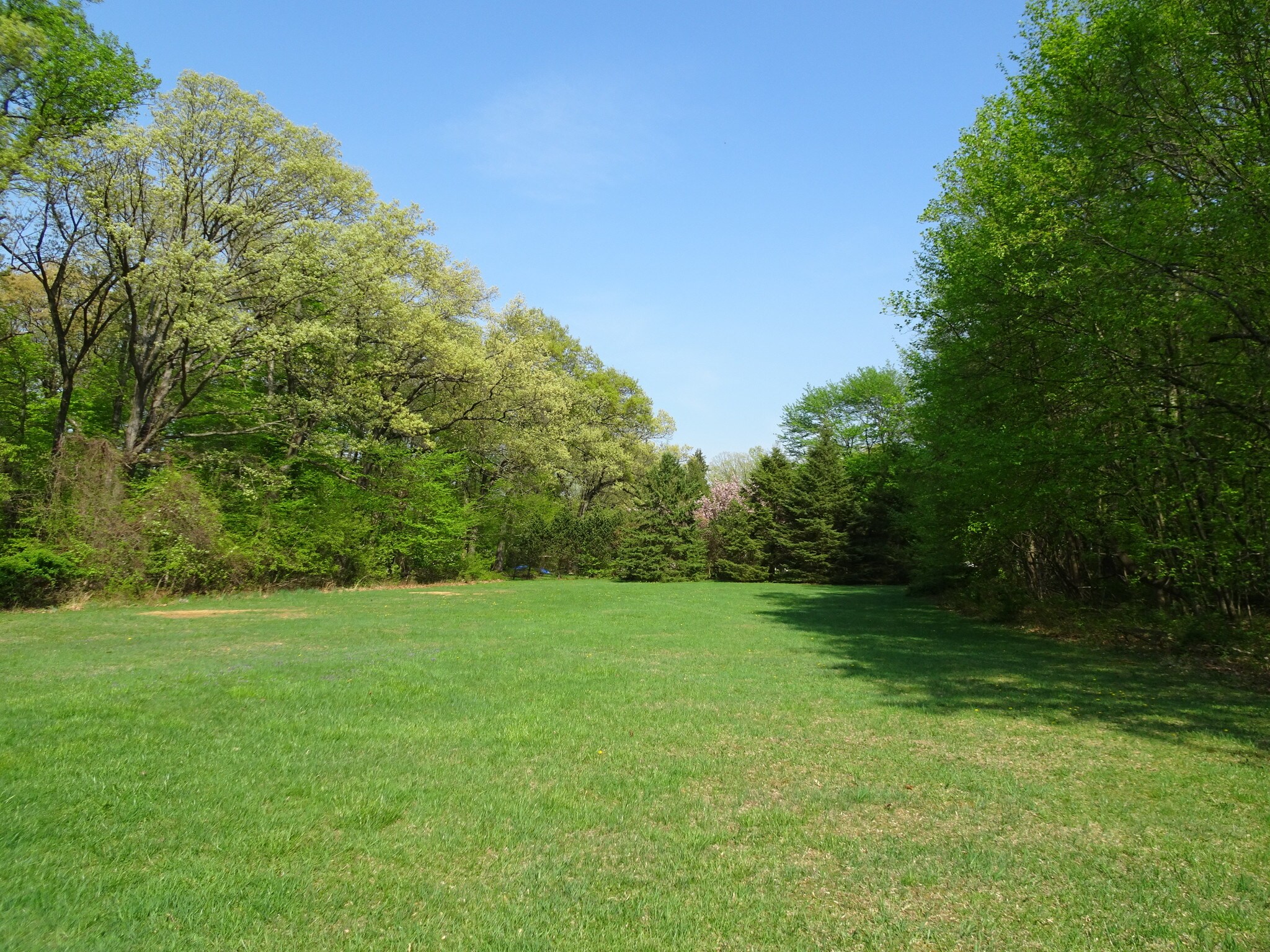 Homes For Sale Randolph Nj - ak3kkkt