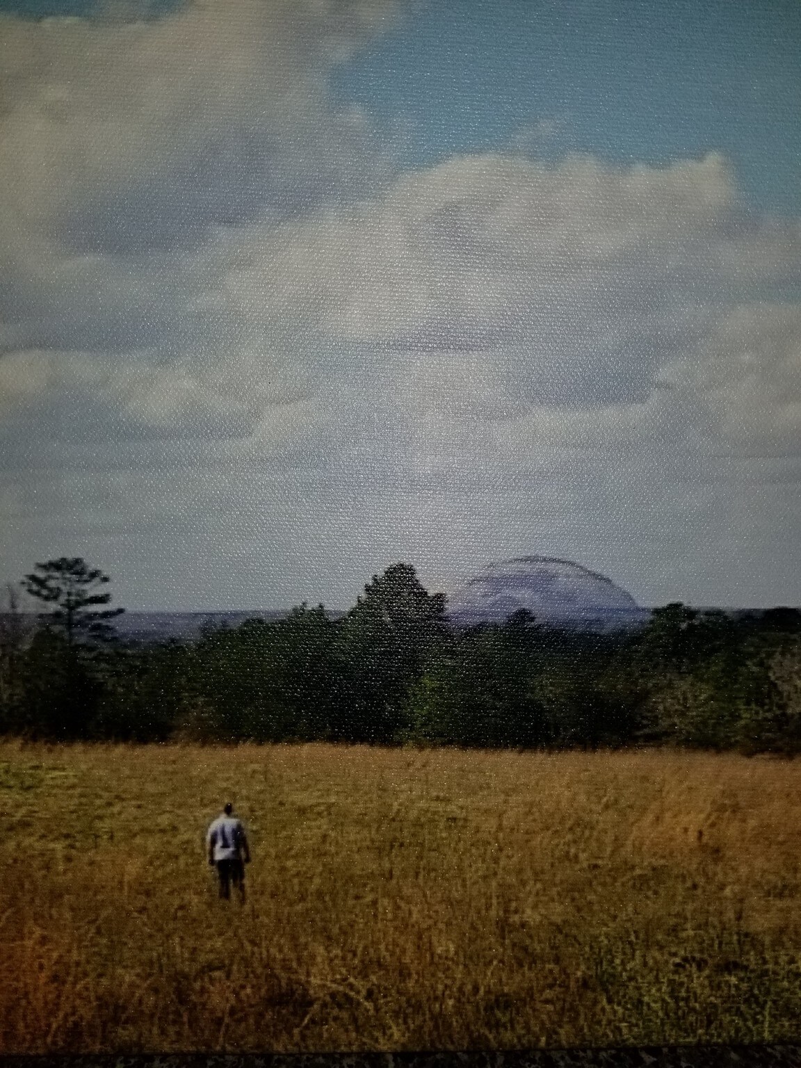0 PLEASANT HILL Rd, Conyers, GA for sale Other- Image 1 of 1