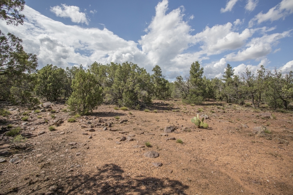 1300 W Airport Rd, Payson, AZ for sale Building Photo- Image 1 of 1