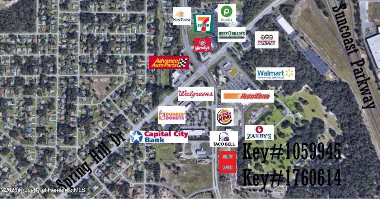 0 Anderson Snow Rd, Spring Hill, FL for sale Primary Photo- Image 1 of 3