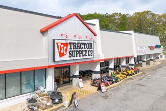 More details for 3073-3187 Highway 431, Roanoke, AL - Retail for Lease