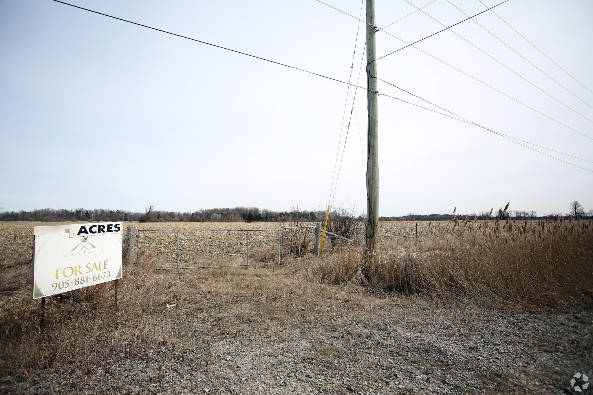 0 Hurontario St, Caledon, ON for sale Primary Photo- Image 1 of 3